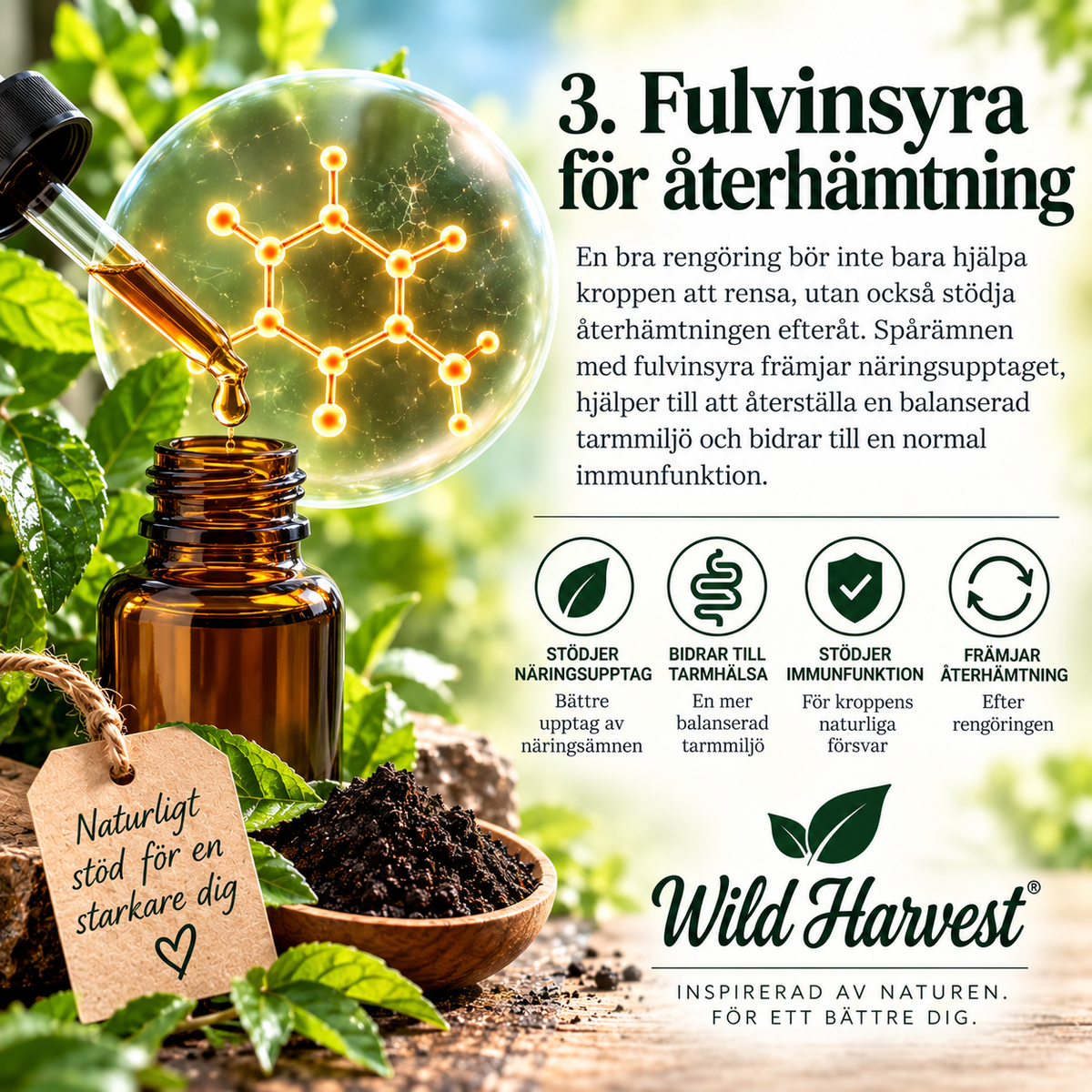 WildHarvest 2-stegs örtkomplex – stöd för matsmältningen