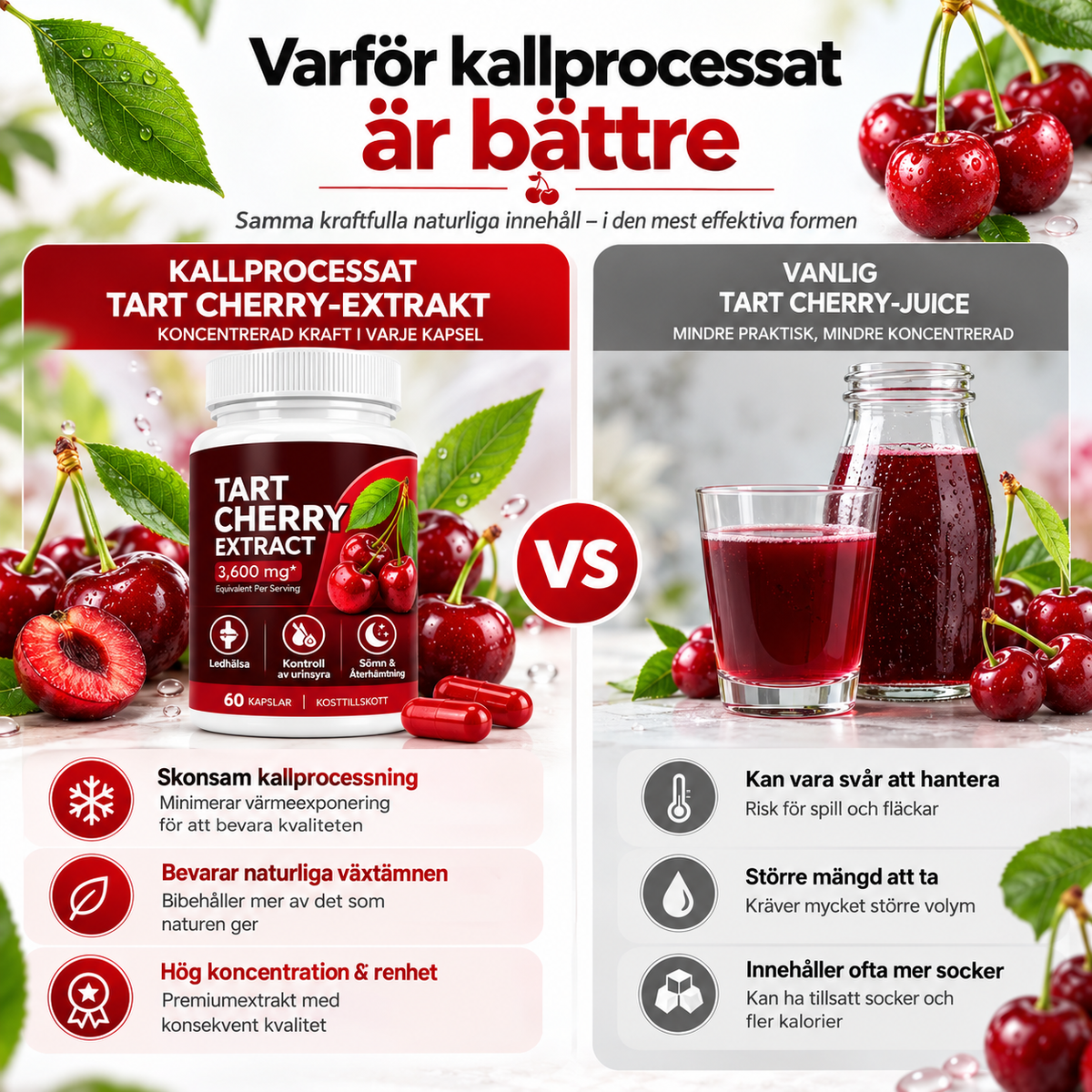 Tart Cherry Extract 3600 mg – Körsbärsextrakt – 60 Kapslar