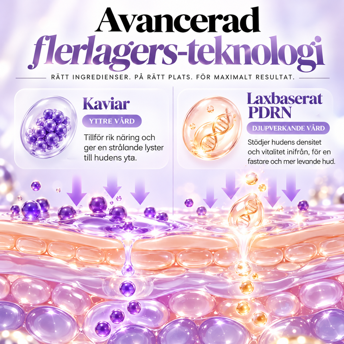 Biodance Caviar PDRN Capsule Cream – Ansiktskräm med Kaviar & PDRN för Fastare Hud, Lyster & Återfuktning