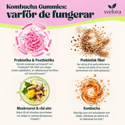 Kombucha Gummies med Probiotika, Prebiotika & Postbiotika – 30 s