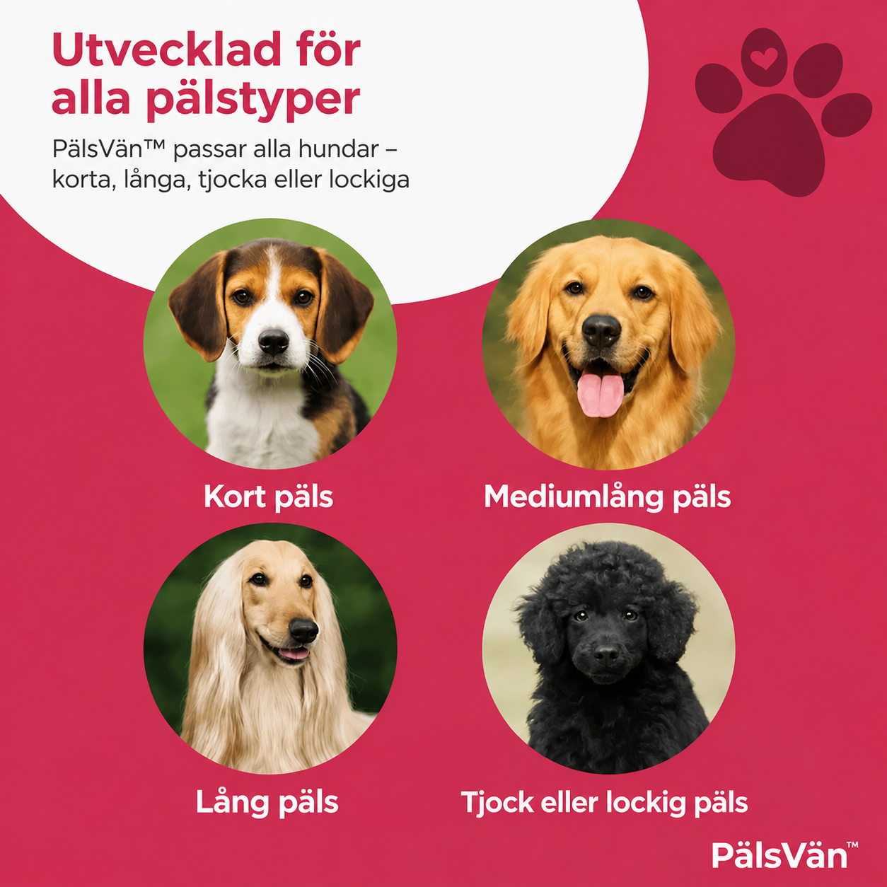 PälsVän™ – Skonsam borste för hundar