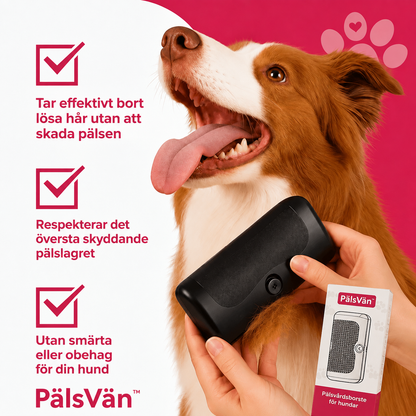 PälsVän™ – Skonsam borste för hundar