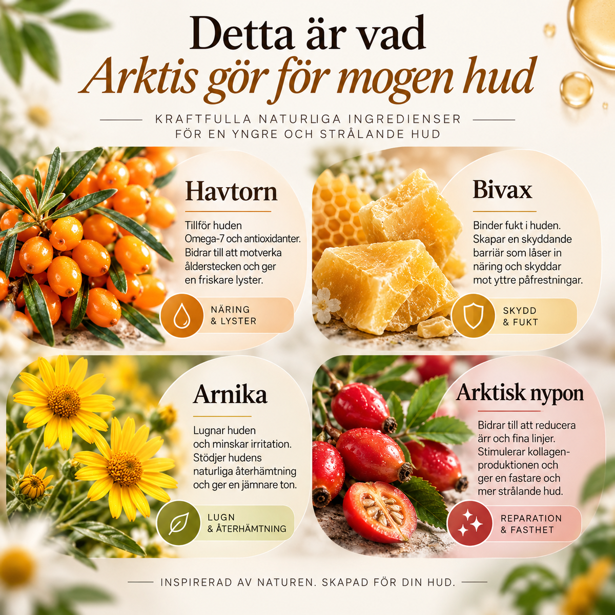 Hudvårdsset för mogen hud – 4 delar med ansiktsskrubb, dagbalm, ögonbalm och nattbalm