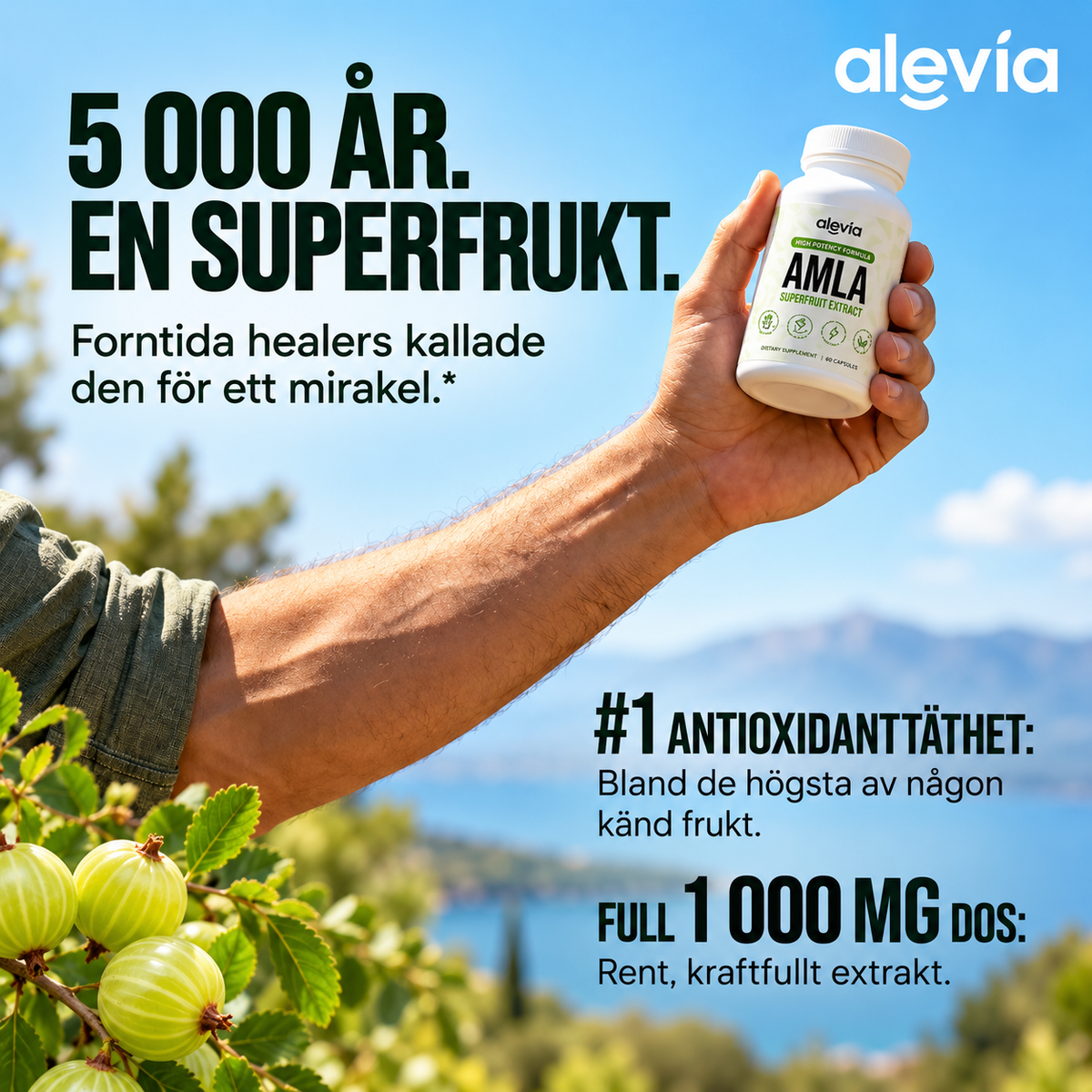 Alevia Amla Superfruit Extract – 60 kapslar | Högkoncentrerat kosttillskott