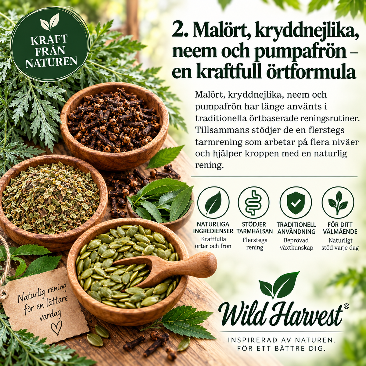 WildHarvest 2-stegs örtkomplex – stöd för matsmältningen
