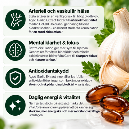 VitalCore Luktfri Lagrad Vitlök + CoQ10 Ubiquinol & Vitamin K2 – 60 Softgels