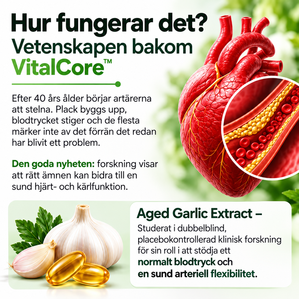 VitalCore Luktfri Lagrad Vitlök + CoQ10 Ubiquinol & Vitamin K2 – 60 Softgels