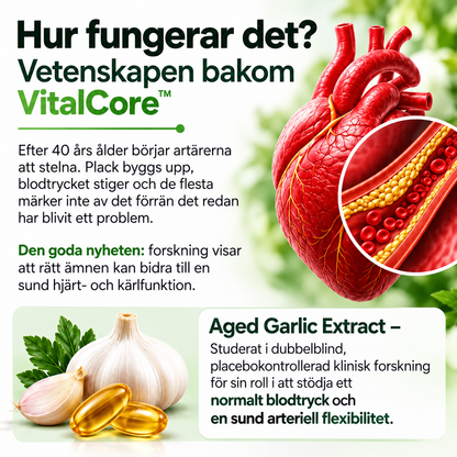 VitalCore Luktfri Lagrad Vitlök + CoQ10 Ubiquinol & Vitamin K2 – 60 Softgels