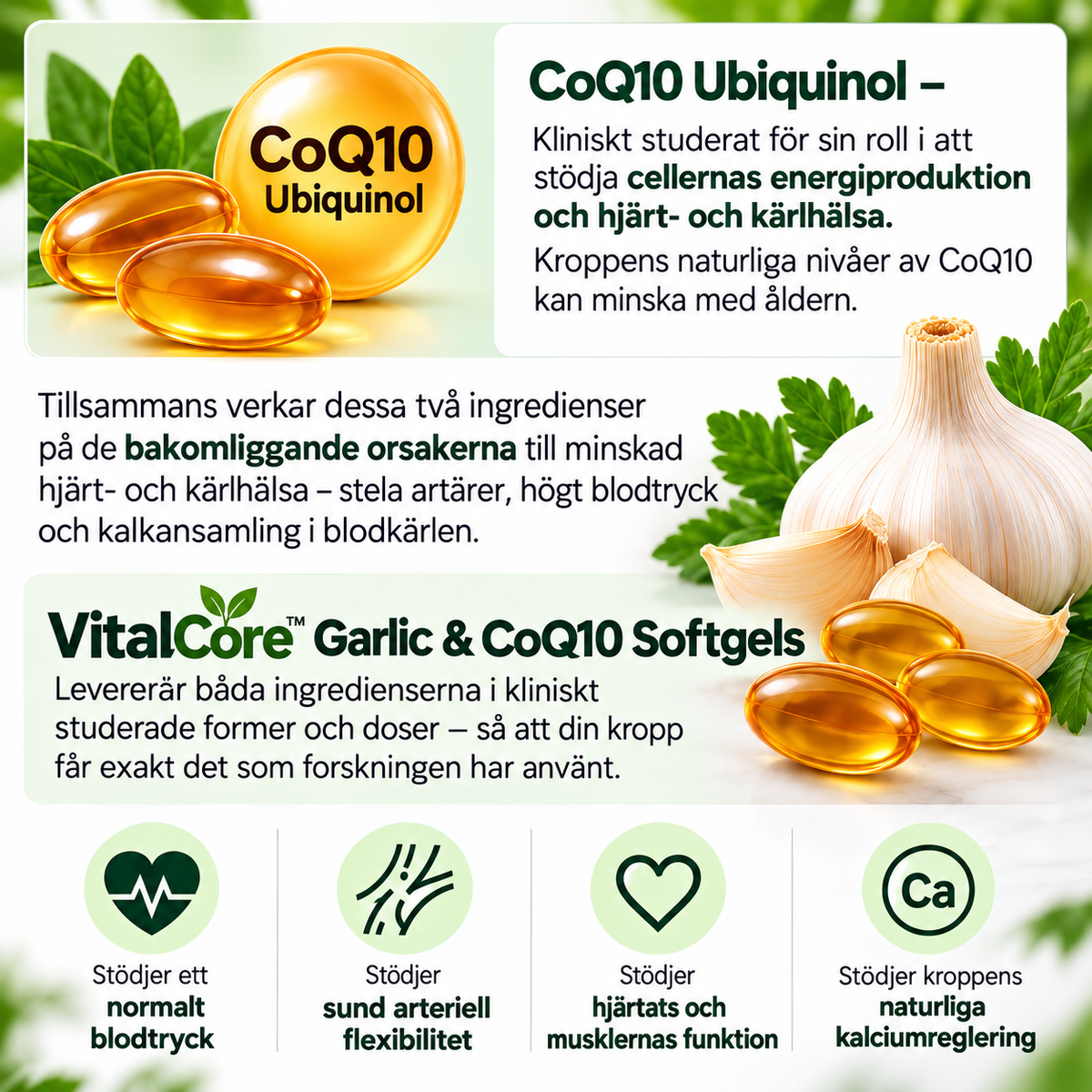 VitalCore Luktfri Lagrad Vitlök + CoQ10 Ubiquinol & Vitamin K2 – 60 Softgels