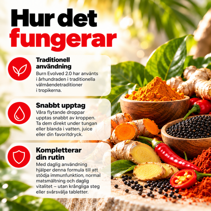 Burn Evolved 2.0 – Flytande Superfood Formula med Gurkmeja, Ingefära & Svartfrö – 60 ml