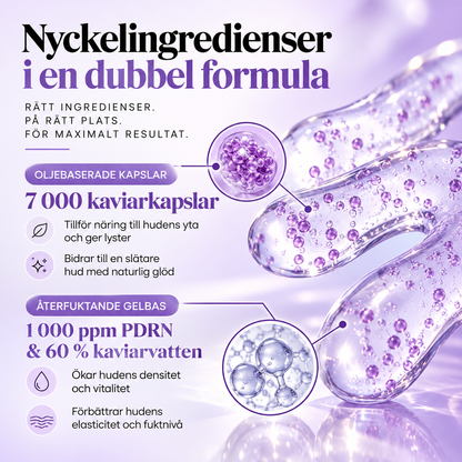 Biodance Caviar PDRN Capsule Cream – Ansiktskräm med Kaviar & PDRN för Fastare Hud, Lyster & Återfuktning