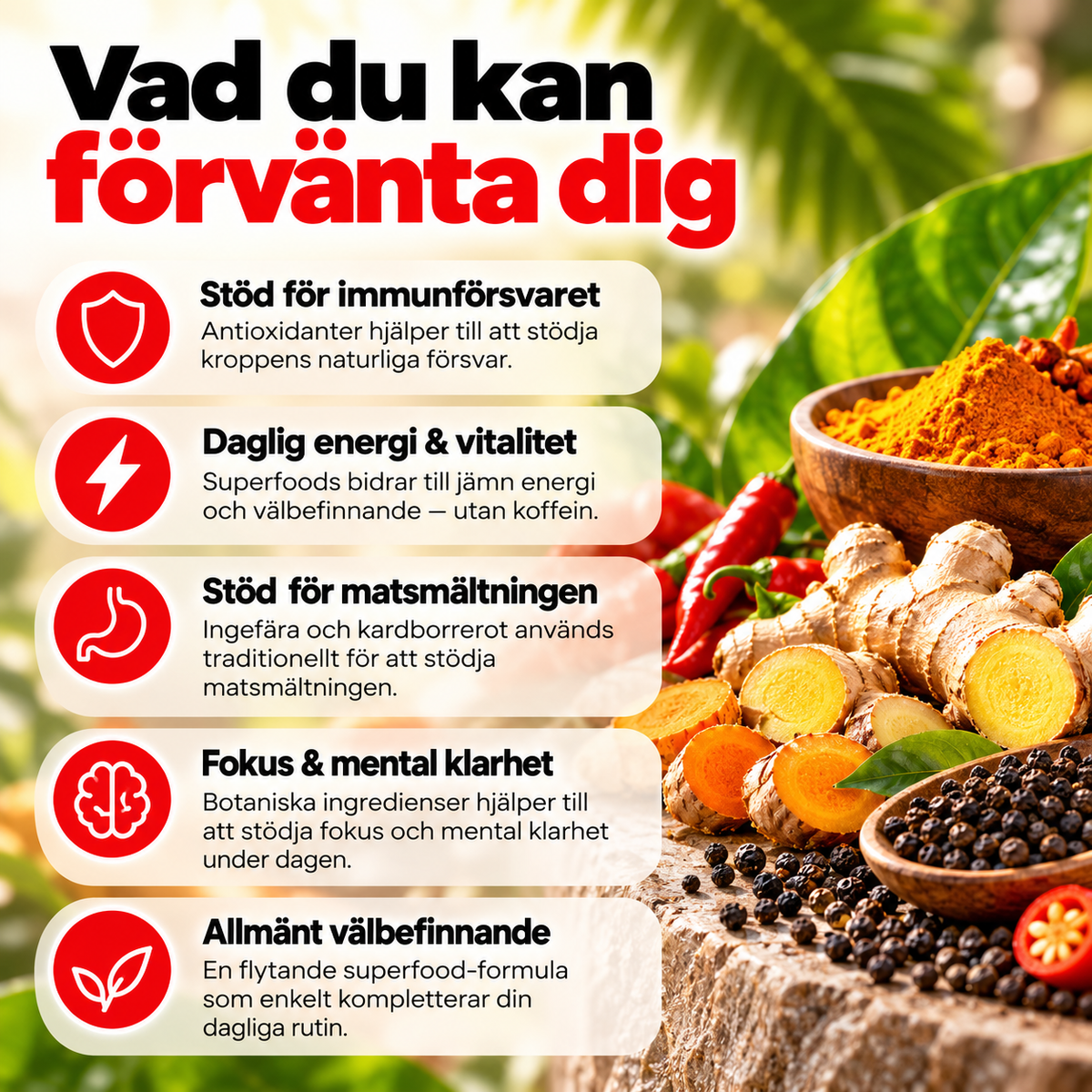Burn Evolved 2.0 – Flytande Superfood Formula med Gurkmeja, Ingefära & Svartfrö – 60 ml