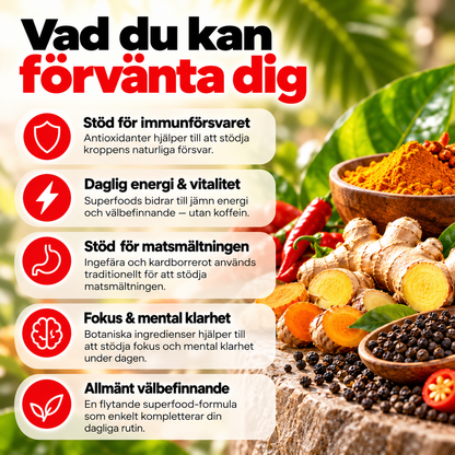 Burn Evolved 2.0 – Flytande Superfood Formula med Gurkmeja, Ingefära & Svartfrö – 60 ml