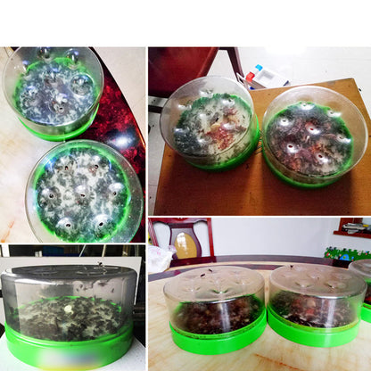 🪰 FlyTrap Pro™ | Återanvändbar Flugfälla för Utomhusbruk